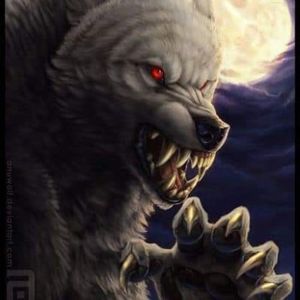 Meet your Posher, Jeremey